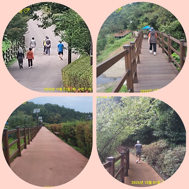 산책로 등 풍경